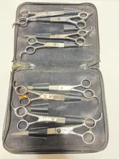 Item thumbnail for item 410265de-429e-4150-99b2-18f6fe9931b3