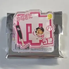 のりぴー様 リクエスト 2点 まとめ商品