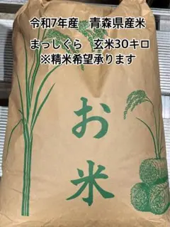 2026年最新】くず米 30kgの人気アイテム - メルカリ