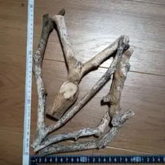 ナスの枝 5本セット 木工 工作 ハンドメイド ナス2