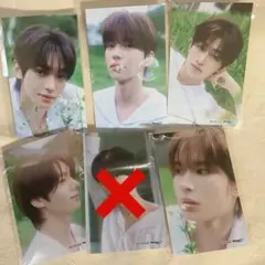 はじめまして トレカ5枚 tws ブロマイド シニュ ヨンジェ ハンジン ジフン