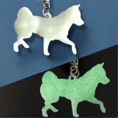 Item thumbnail for item af6e7a03-f899-4587-a2df-55d3b3d7d69f