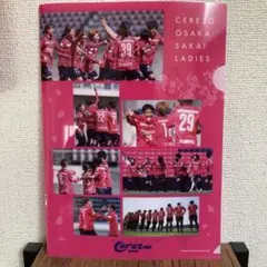 Item thumbnail for item 081fd83e-429e-4b4c-87df-88e6476ab6cf