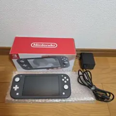 Switch Lite 付属品完品 動作OK グレー