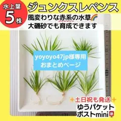 yoyoyo47jp様 リクエスト 2点 まとめ商品