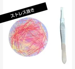 Item thumbnail for item 1d9a3f0a-d6a8-46a8-bdf6-63de2221d598