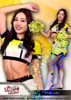 Item thumbnail for item 36421e92-f617-4787-a880-2763706e38f7