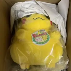 ポケモン30周年記念おかえり!ピカチュウ1/1