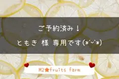 【ꕤ644】不知火デコ【超★訳あり品☆加工原料】10kg 熊本みかん