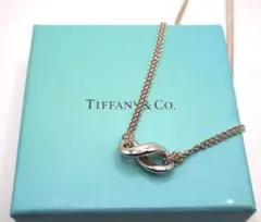【美品】Tiffany & Co. インフィニティ ダブルチェーン ネックレス