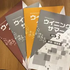 2026年最新】ウイニングサマーの人気アイテム - メルカリ
