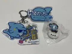 専用販売のため購入出来ません。