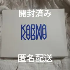 【開封済み】StrayKids スキズ KARMA hoolay 通常盤