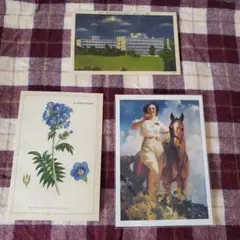 Item thumbnail for item 224bb440-f05f-423e-a542-840fe80761be