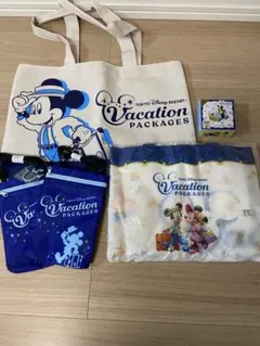 ディズニーリゾート バケーションパッケージ　トミカ　トートバッグ　他計5点セット