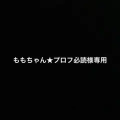 ももちゃん@プロフ必読様専用ページ