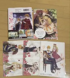 【売り切り価格】ある日、お姫様になってしまった件について7巻