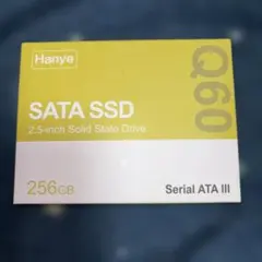 Hanye SSD 256GB