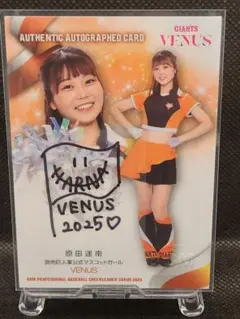 Item thumbnail for item 2b614a20-4935-4dae-8a43-ee44d6423b12