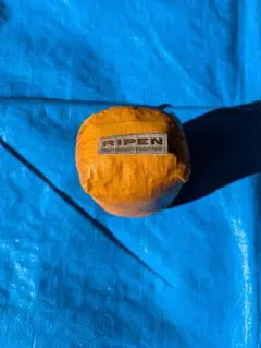 Item thumbnail for item 49209a01-d404-422c-b6ed-e752f6c7e101