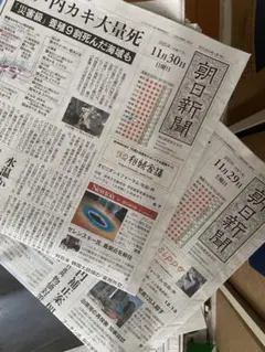 Item thumbnail for item bac7b52d-1d44-474e-8a35-1e72d445491a