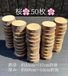桜　輪切り　切り株　丸太　50枚