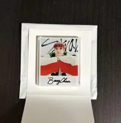 straykids TOY WORLD 아크릴 자석 반찬