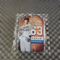 Item thumbnail for item 3504cbde-1ec2-4a62-9758-1e3de1333eb7