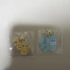 ちいかわ うさぎ ハチワレ アクリルチャーム キーホルダー 2点セット