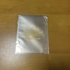 Snow Man RAYS チケット風カード 岩本照