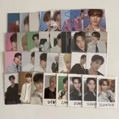 SEVENTEEN ディノ　31枚セット