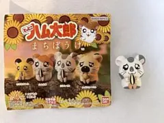 とっとこハム太郎　まちぼうけ　こうしくん