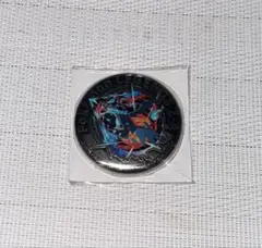 ポケモンレジェンズZA 購入特典　イオン限定　メガリザードンX