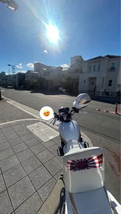 ゼファー400 ZRX400 フロントブレーキキャリパーインナーキット 純正