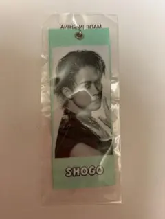 Item thumbnail for item 6e5ed454-60ec-4f9b-a40b-4414a3f6bbbf