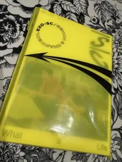EXO-SC What a Life CD