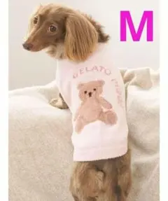 ジェラートピケ「CAT＆DOG」ベアジャガードプルオーバー(M)ピンク