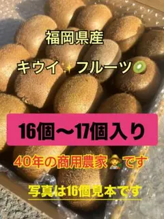 キウイフルーツ果物　福岡県産キウィ　箱いっぱい　16〜17個入　1.3k前後