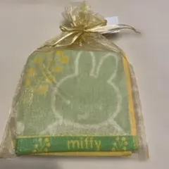 Item thumbnail for item 4370f0e5-19cd-4377-898f-36b61796b0af