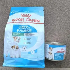 Item thumbnail for item 8a488348-f365-416b-ad82-478413645aa3