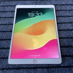 214 iPad Pro 10.5 512GB SIMフリー　グレイ Amazon.com : Apple iPad Pro 10.5 512GB WiFi MPGJ2LL/A Silver A1701