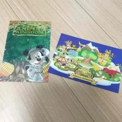 ☆フロリダWaltDineyWorldキラキラポストカード☆