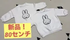 Item thumbnail for item c17ad384-d279-4eb4-9bf8-75cf588e4713