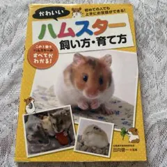 Item thumbnail for item 2e06603f-b281-4ff1-8b57-909efb5435bc