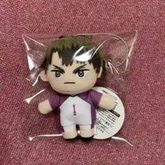 2026年最新】牛島若利 ぬいぐるみの人気アイテム - メルカリ