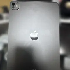 iPad Pro M5 11インチ 256GB Wi-Fiモデル オマケ付き