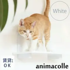 Item thumbnail for item 4e61e87a-88bc-439c-a315-0be5a800e48b