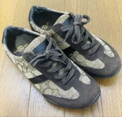 極美品✨コーチ KATHLEEN シグネチャー柄 スニーカー 24.5 箱付き