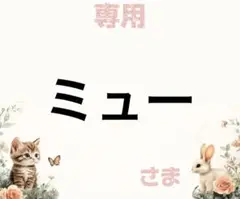 専用