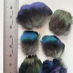 Item thumbnail for item d7457a83-fb8b-4fdd-a5f9-14190b5972a7